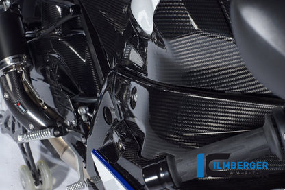 Framecover droit BMW S 1000 RR (2012-2014)