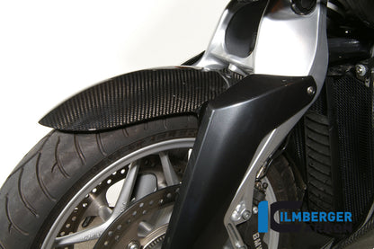 Version de la coupe Fender Fender Carbon K1300R BMW K 1300 R (2009-2016)