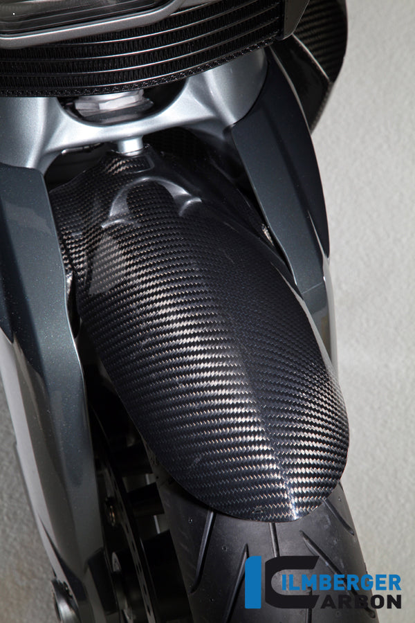 Version de la coupe Fender Fender Carbon K1300R BMW K 1300 R (2009-2016)