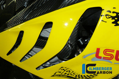 Crash Protector sur le cadre droit BMW S 1000 RR Street (2009-2011)