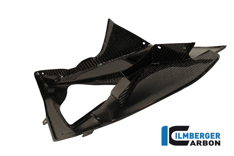 COUPE SIDE RACKE - Côté droit - BMW S 1000 RR Racing (2012-2014)