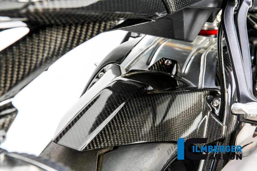 Carbonrear Fender (Hugger), y compris la chaîne de garde BMW S1000R (2017-2020)