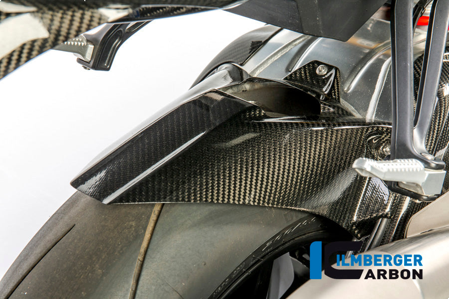 Carbonrear Fender (Hugger), y compris la chaîne de garde BMW S1000R (2017-2020)