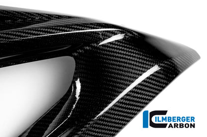 Careng Side Panel Racing (côté gauche) Carbon - BMW S1000RR Racing (2015-2016)