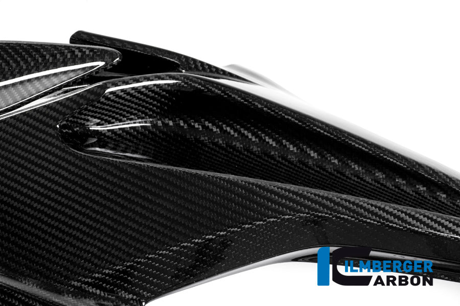 Careng Side Panel Racing (côté gauche) Carbon - BMW S1000RR Racing (2015-2016)