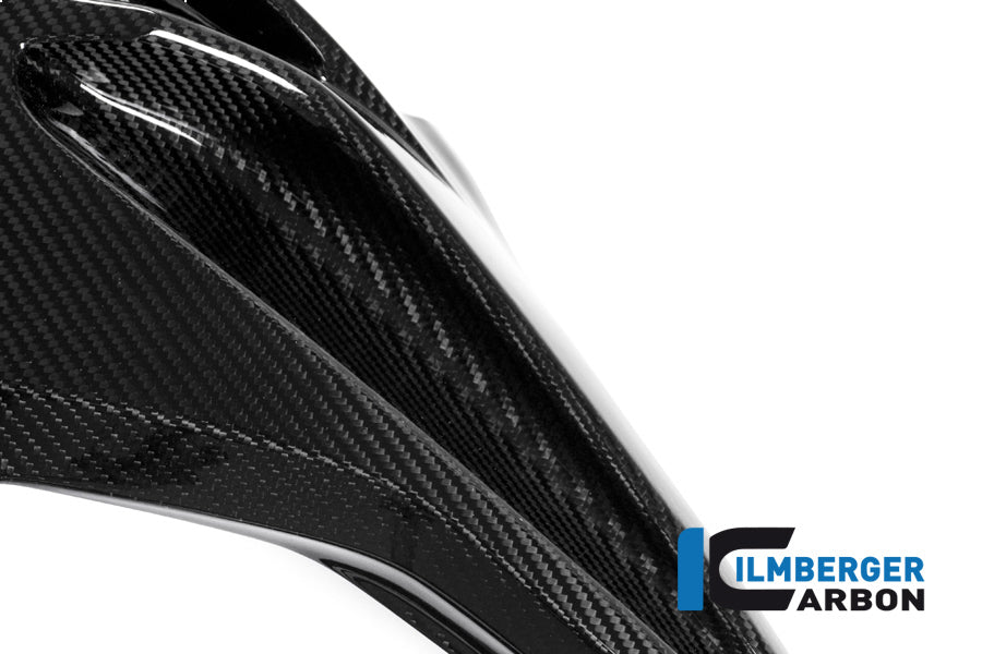 Careng Side Panel Racing (côté gauche) Carbon - BMW S1000RR Racing (2015-2016)