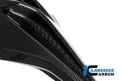 Careng Side Panel Racing (côté gauche) Carbon - BMW S1000RR Racing (2015-2016)
