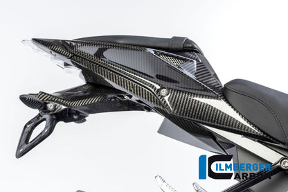 Carbon du support de plaque d'immatriculation - BMW S1000RR (2015-2016)