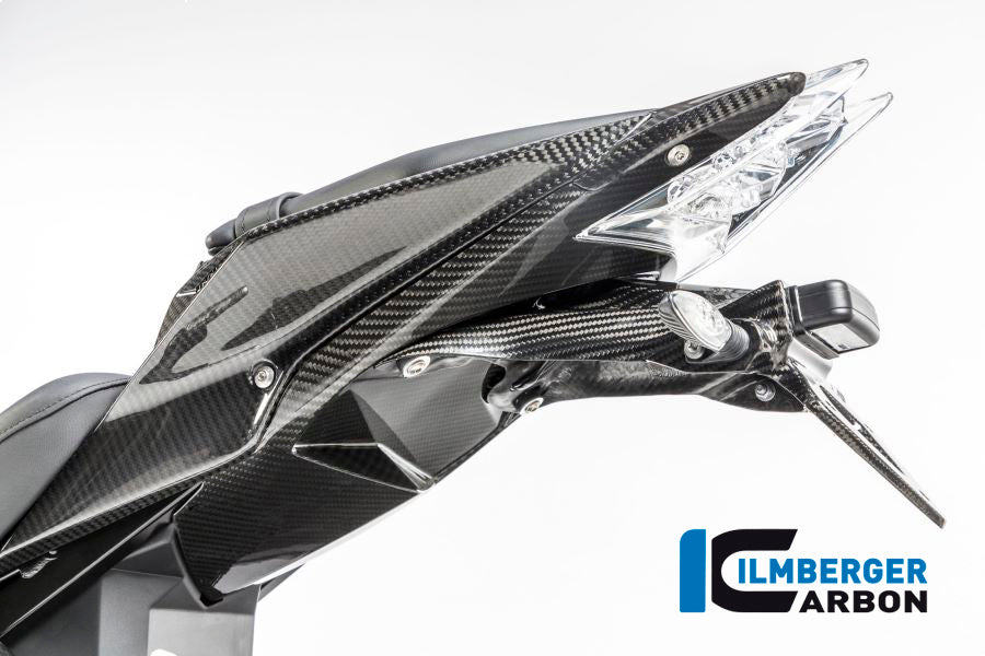 Carbon du support de plaque d'immatriculation - BMW S1000RR (2015-2016)