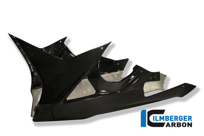 Lower Pussy (à partir d'un tout) BMW S 1000 RR Street (2012-2014)