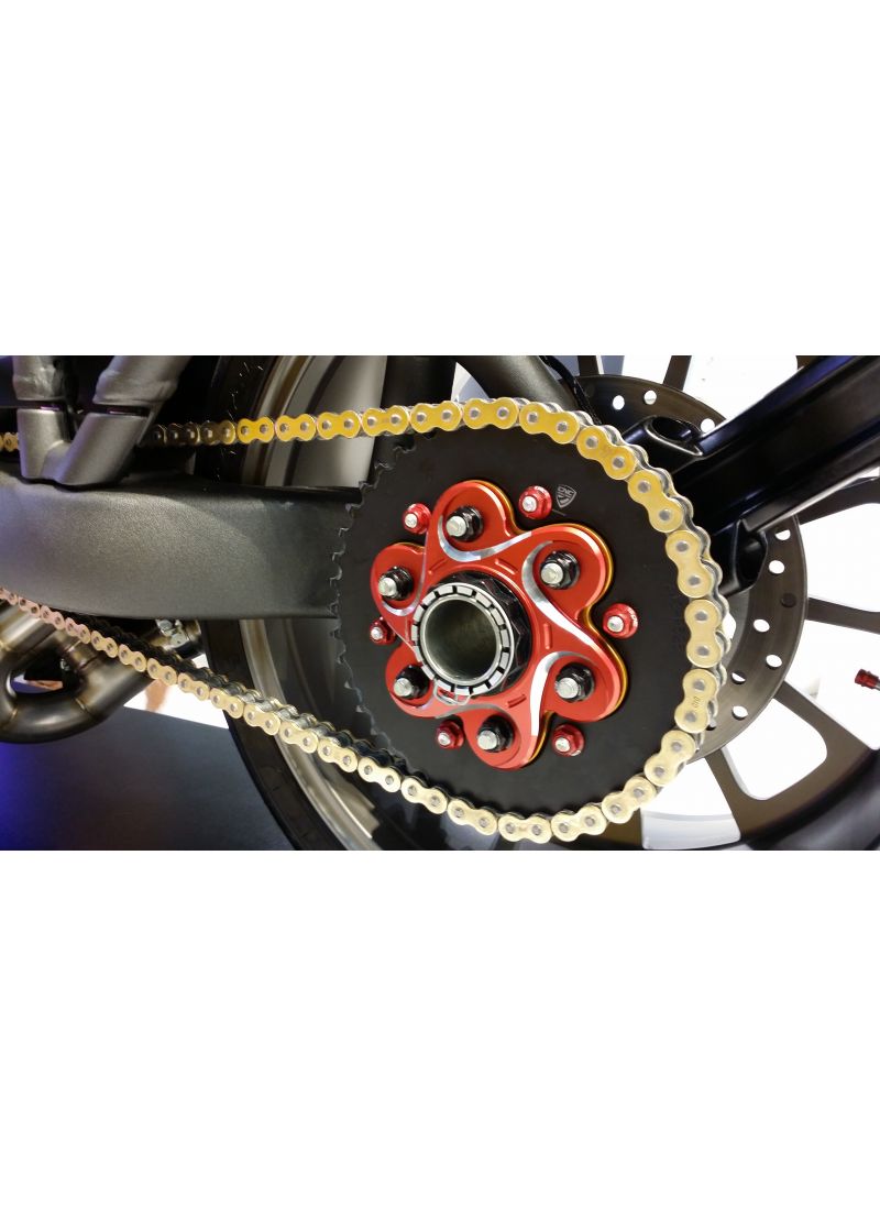 Achtertandwieldrager Bicolore 6-bouts (grote achteras) Ducati Diavel V4 RS (2025+)