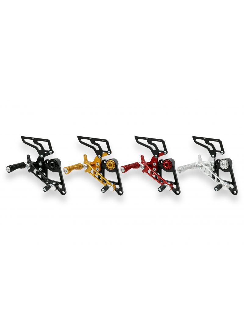 Monster arrière 696 796 1100 1100evo Corse Monoposto Ducati Monster 1100 (2009-2015)