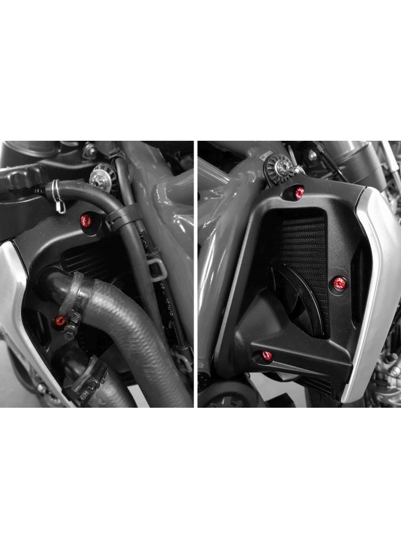 Kit de vis à vis de panneau de radiateur CNC Radiateur Ducati Monster 1200 (2017-2021)