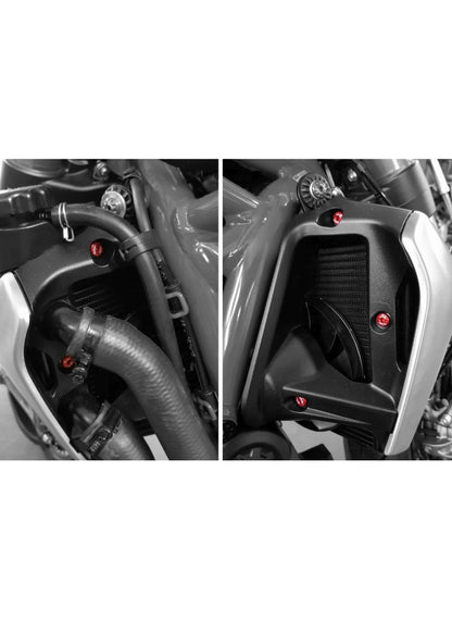 Kit de vis de panneau latéral du radiateur CNC Radiateur Ducati Monster 1200 S (2017-2021)