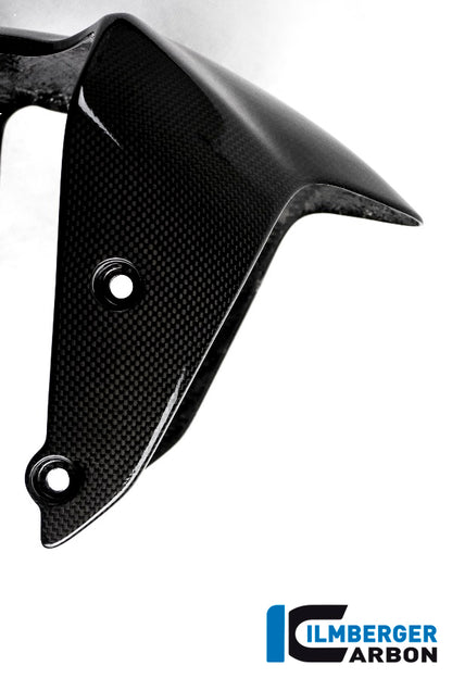 Front Mudguard - Ducati Monster 1200 2017+ Ducati Monster 1200 S (2017-2021)