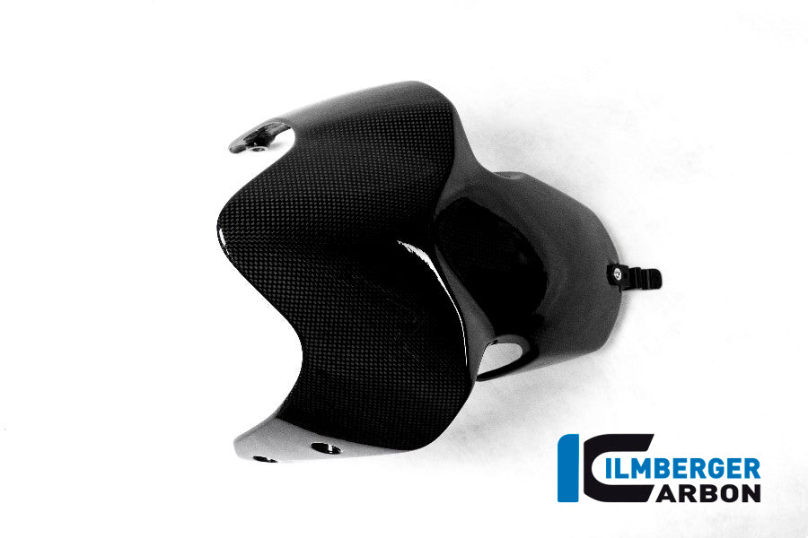 Front Mudguard - Ducati Monster 1200 2017+ Ducati Monster 1200 (2017-2021)