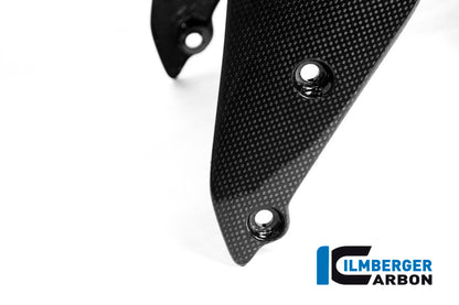 Front Mudguard - Ducati Monster 1200 2017+ Ducati Monster 1200 (2017-2021)