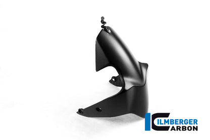 Front Mudguard Matt Carbon - Ducati Monster 1200 2017+ Ducati Monster 1200 25 Anniversario (2020)