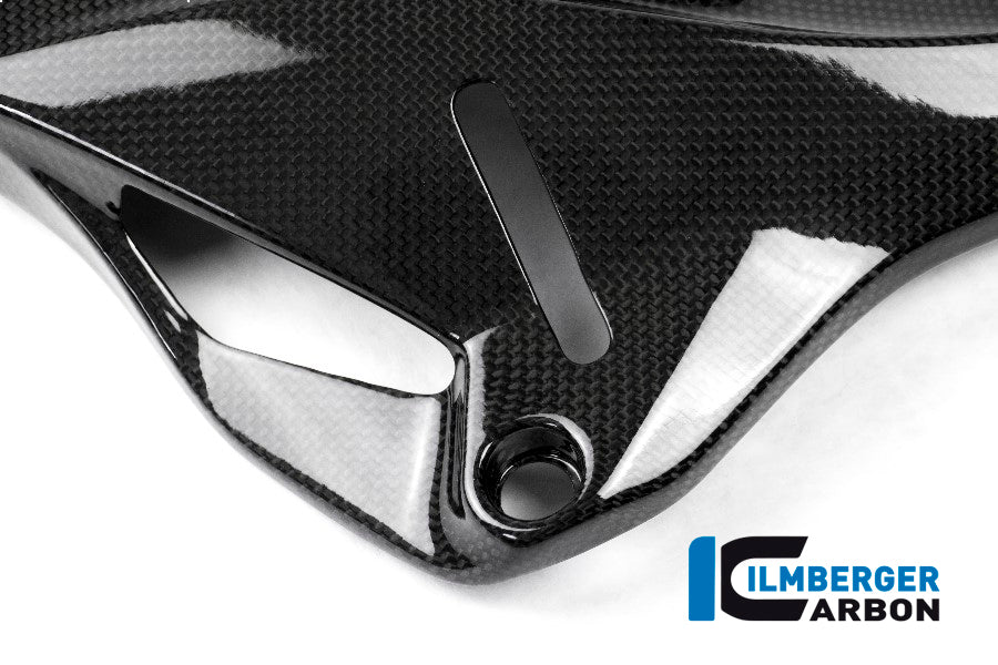 Panneau latéral en carbone brillant sous le cadre du cadre droit Monster 1200 Ducati Monster 1200 S (2014-2016)
