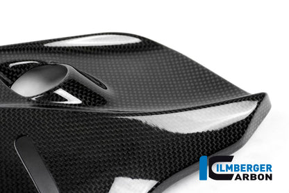 Panneau latéral en carbone brillant sous le cadre du cadre droit Monster 1200 Ducati Monster 1200 S (2014-2016)