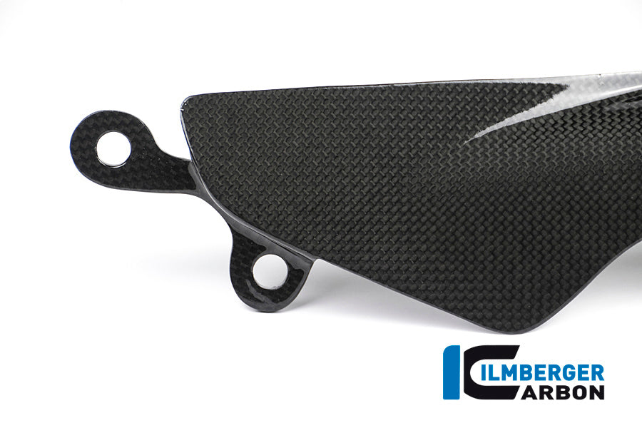Couverture de chaîne de carbone brillant Monster 1200 Ducati Monster 1200 S (2014-2016)