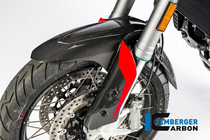 Voorspatbord glanzend carbon Ducati Multistrada 950 (2017-2018)