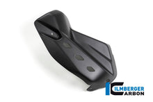 Uitlaathitteschild mat carbon Ducati Multistrada 950 (2017-2018)