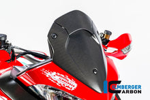 Windscherm mat carbon Ducati Multistrada Enduro Pro 1260 (2019)
