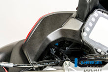 Binnenkuip links mat carbon Ducati Multistrada 950 (2019-2021)