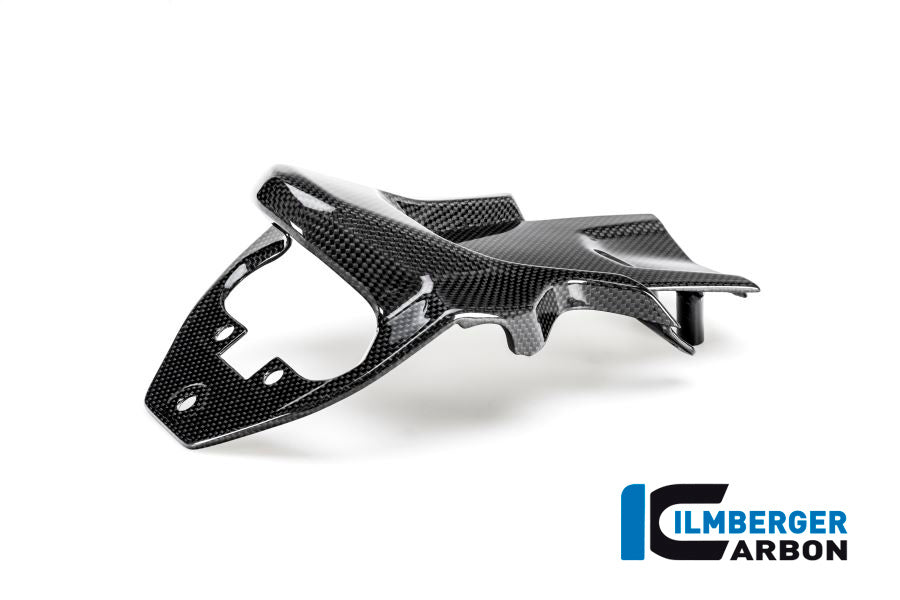 Kentekenplaathouder cover glanzend carbon Ducati Multistrada 950S (2019-2021)