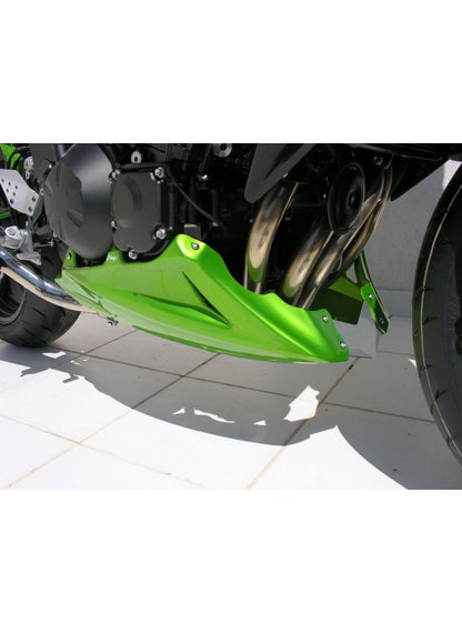 Ermax Bellypan (Spoiler du moteur) Kawasaki Z750 2004-2006