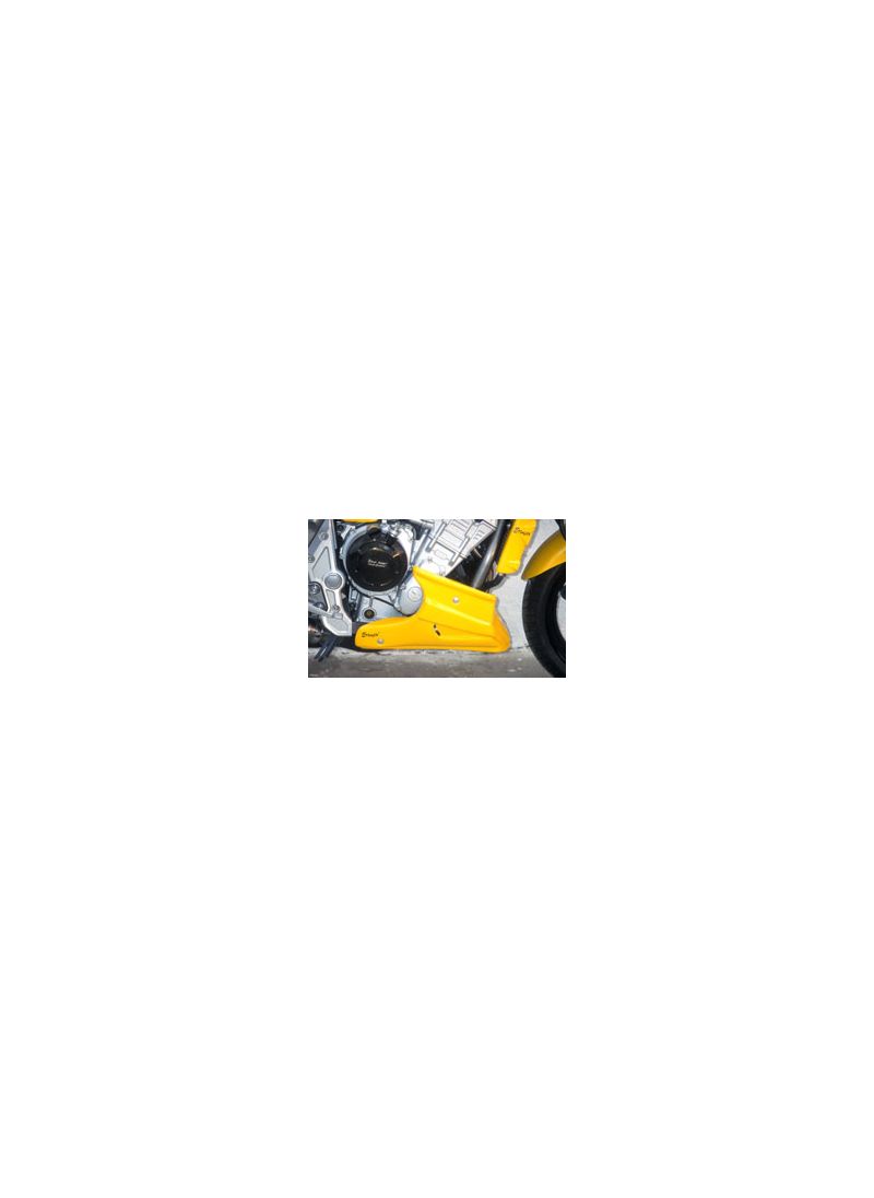 Ermax Bellypan (Spoiler du moteur) Yamaha Fazer 1000 2001-2005