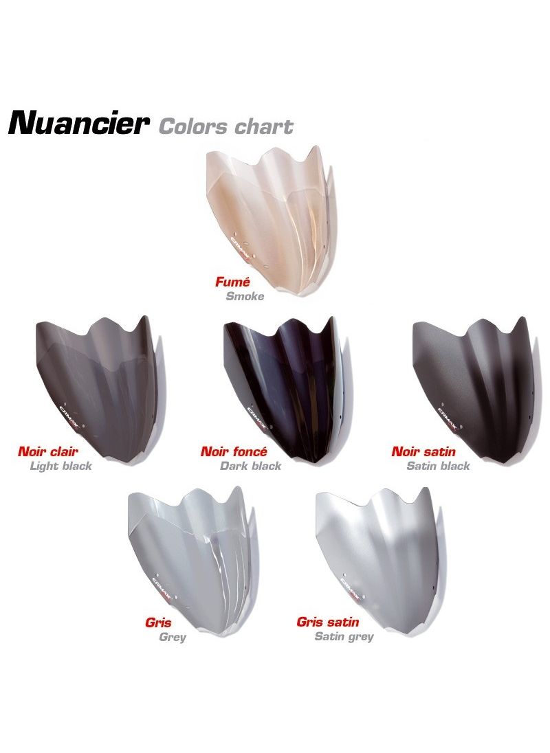 Ermax screen Aeromax for S1000RR 2015-