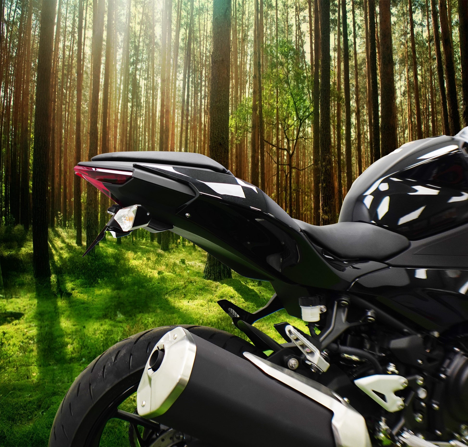 Evotech Kawasaki Z500 Kentekenplaathouder (2024+)