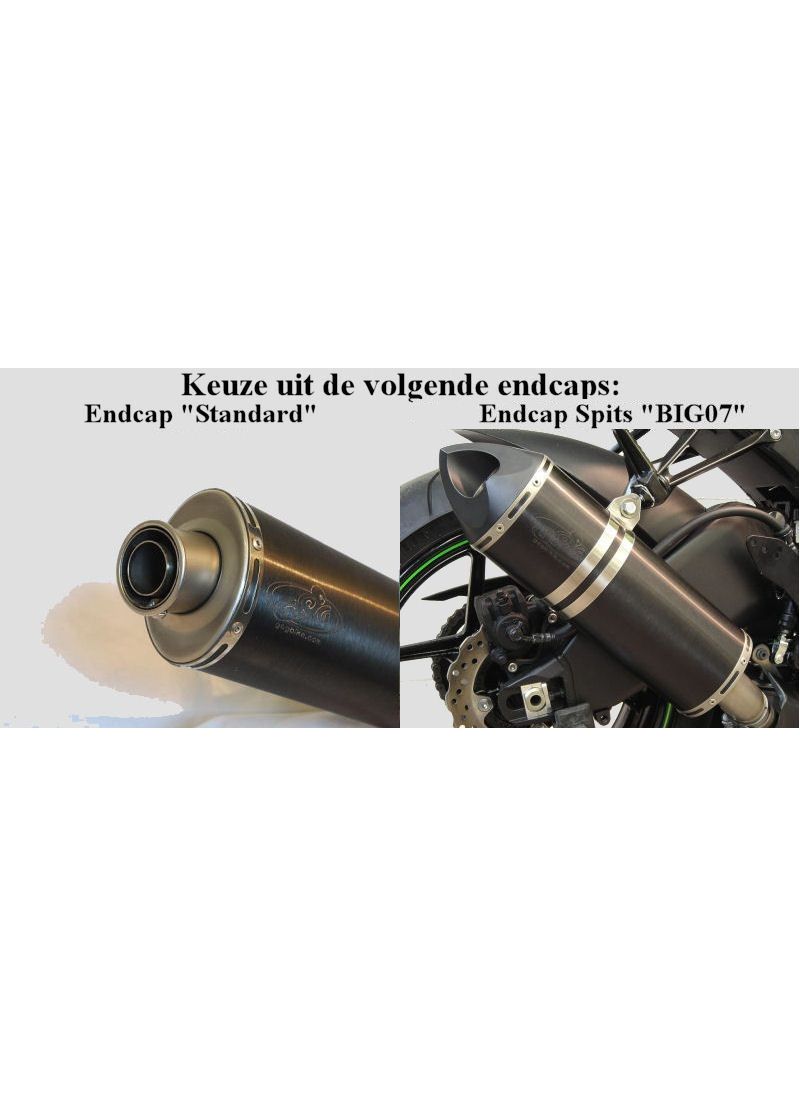 G&G Big Oval Échappement Honda CBR600RR 2007-2008