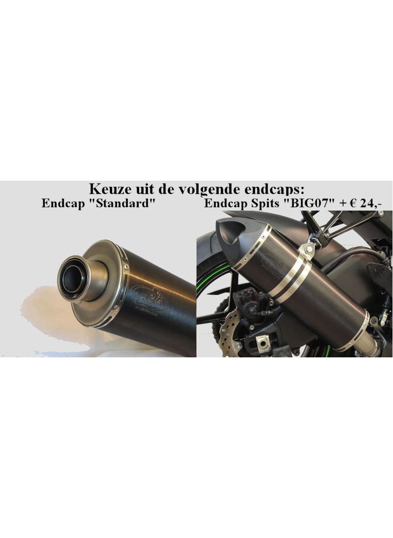 G&G Big Oval Échappement CBR600RR PC37 2003-2004