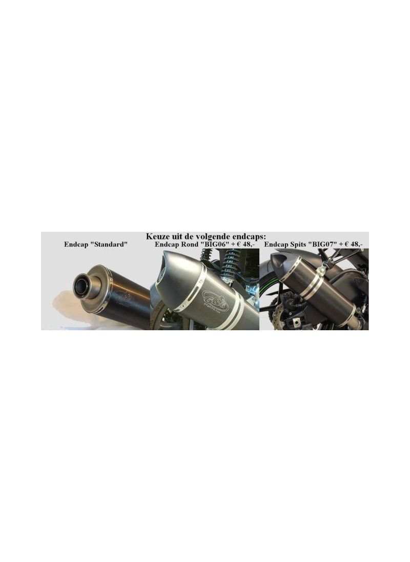 Ensemble d'échappement G&G Aprilia RSV 1000 2006-2008