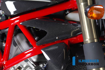Ensemble de couverture de refroidissement liquide de liquide Carbon MV Agusta Brutale 1090 R (2012-2015)