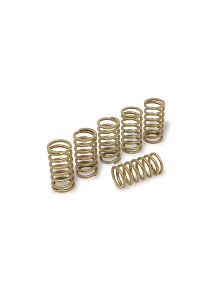 Kit de ressort d'embrayage H38 Ducati 926 Corsa (1992-1994)