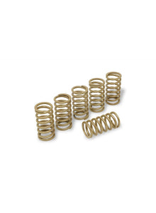 Kit de printemps d'embrayage H38 Ducati SuperSport 750 (1999-2002)