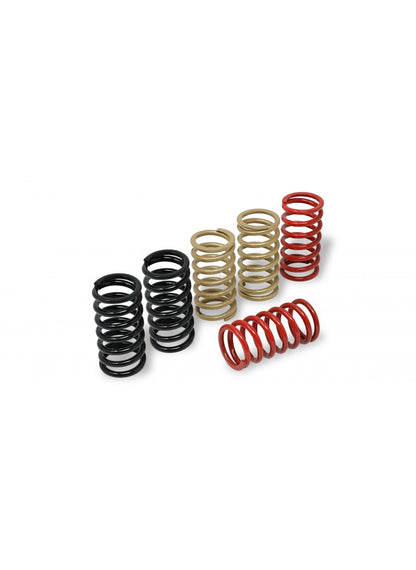 Clutch Springs MV Agusta Brutale 910 S (2003-2011)
