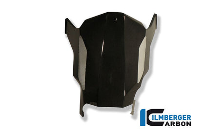Motor Spotler (BellyPan) CARBON CARBON R1200R BMW R 850 R (1995-2001)