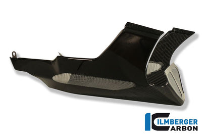 Motor Spotler (BellyPan) CARBON CARBON R1200R BMW R 850 R (1995-2001)