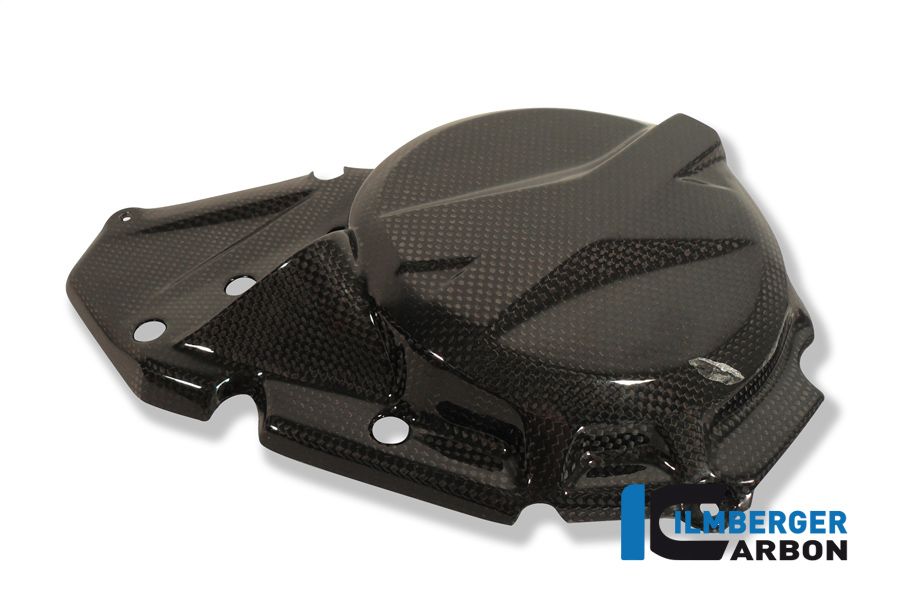 Couverture du logement d'allumage Carbon F700GS BMW F 700 GS (2013-2017)