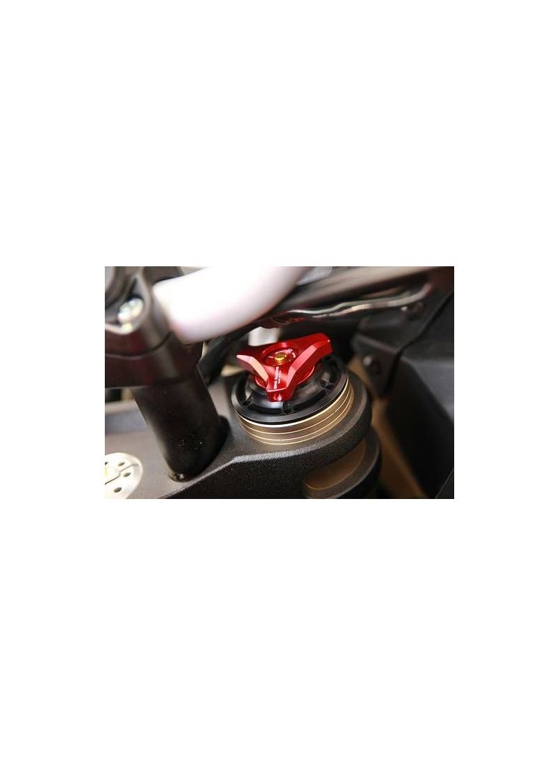 Préchargement des experts 14 mm Suzuki SV1000S (2005-2015)