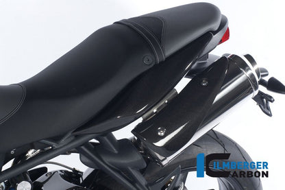 Radiator Cover Liens Carbon Triumph Street Triple R (2013-2016)