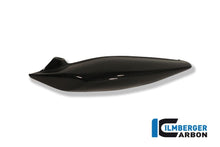 Radiator Cover Liens Carbon Triumph Street Triple 675 (2013-2015)