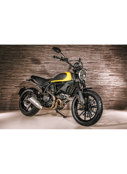 CNC Racing carbon front fork protection Scrambler