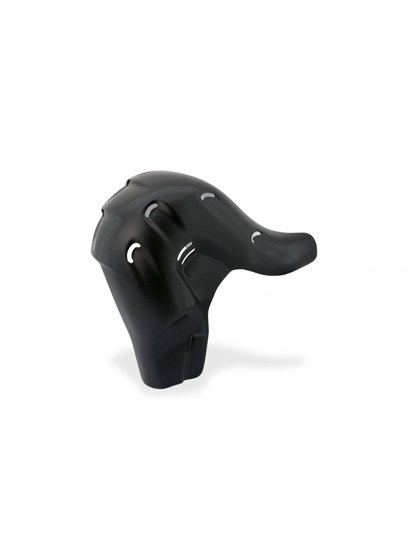 Euro5 Échappement HEAT Guard Carbon Ducati Streetfighter V4 Ducati Streetfighter V4 SP (2022+)