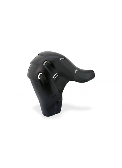 Euro5 Échappement HEAT Guard Carbon Ducati Streetfighter V4 Ducati Streetfighter V4 SP (2022+)